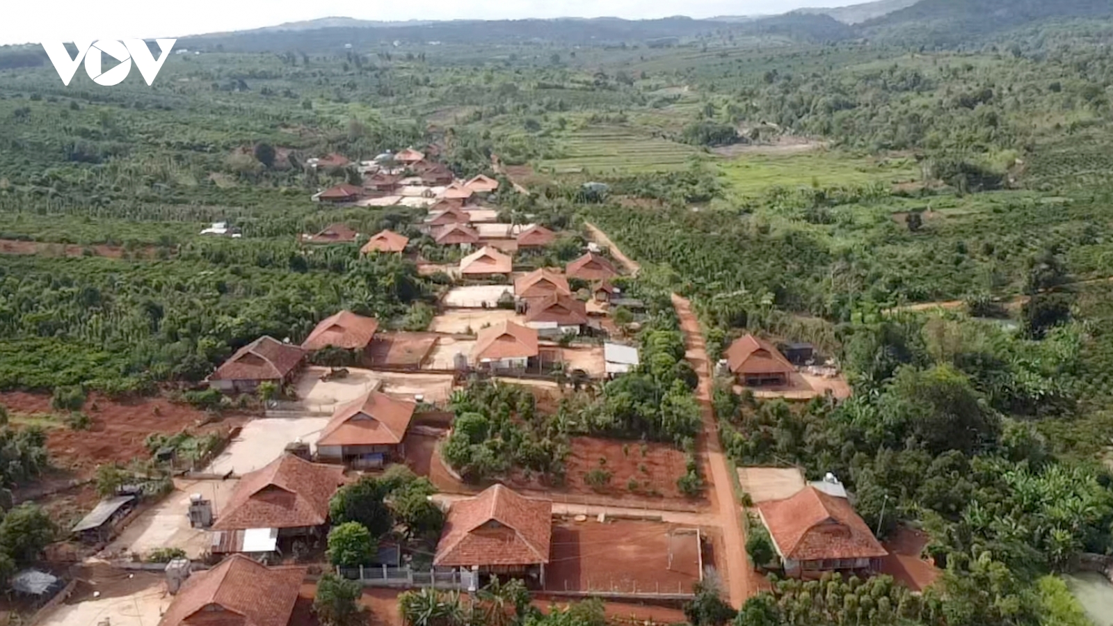 Làng Nùng tươi xanh trên vùng đất mới Tam Giang, Đắk Lắk